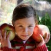 Wolf River Apple -Fruit Tree Shop Young girl with huge Wolf River apples Photo by Jan Mangan