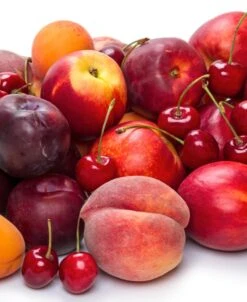 Fruit Cocktail (3 Varieties)